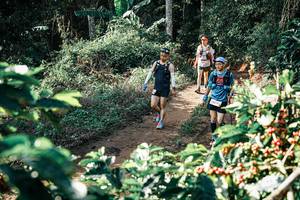 BIB: 
                            <button type="button" onclick="openModal(25854499)" class="btn btn-primary btn-sm float-right btn-popup" data-toggle="modal" data-target=".modal-high-quality">
                        <i class="fas fa-shopping-cart"></i> Add to Cart
                    </button>
                                            <button type="button" onclick="isThisMe(25854499, true)" class="btn btn-success btn-sm float-right btn-popup btn-isme hidden" data-toggle="tooltip" data-placement="bottom" title="นี่คือรูปของคุณใช่ไหม คลิกที่นี่เพื่อเอาเข้าอัลบั้ม">
                        <i class="fas fa-plus"></i> Add to album
                    </button>
                    <button type="button" onclick="isThisMe(25854499, false)" class="btn btn-warning btn-sm float-right btn-popup btn-isnotme hidden">
                        <i class="fas fa-ban"></i> Remove from album
                    </button>